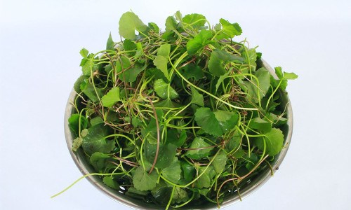 C&aacute;c c&aacute;ch trị mụn hiệu quả từ thi&ecirc;n nhi&ecirc;n được nhiều người ch&uacute; &yacute;