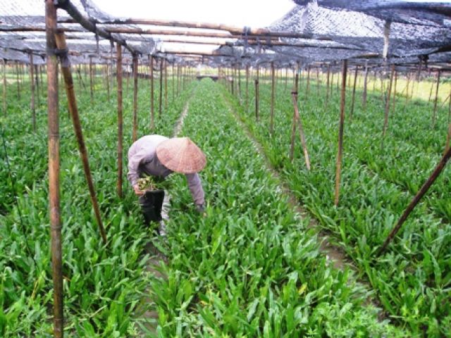 Sức khỏe gia đ&igrave;nh l&agrave; vấn đề được quan t&acirc;m nhiều nhất trong cuộc sống h&agrave;ng ng&agrave;y