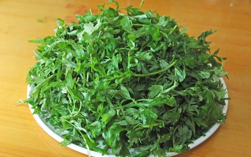 Ngải cứu l&agrave; c&acirc;y thuốc nhưng cũng c&oacute; thể g&acirc;y ngộ độc 