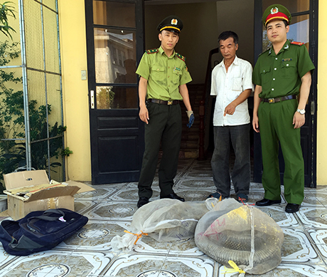bắt rắn hổ mang ch&uacute;a