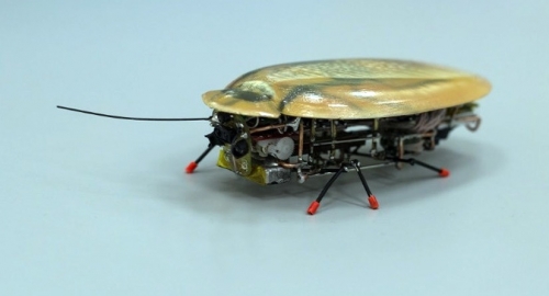 Nga th&agrave;nh c&ocirc;ng trong việc chế tạo robot do th&aacute;m h&igrave;nh con gi&aacute;n