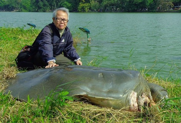 r&ugrave;a hồ ho&agrave;n kiếm chết