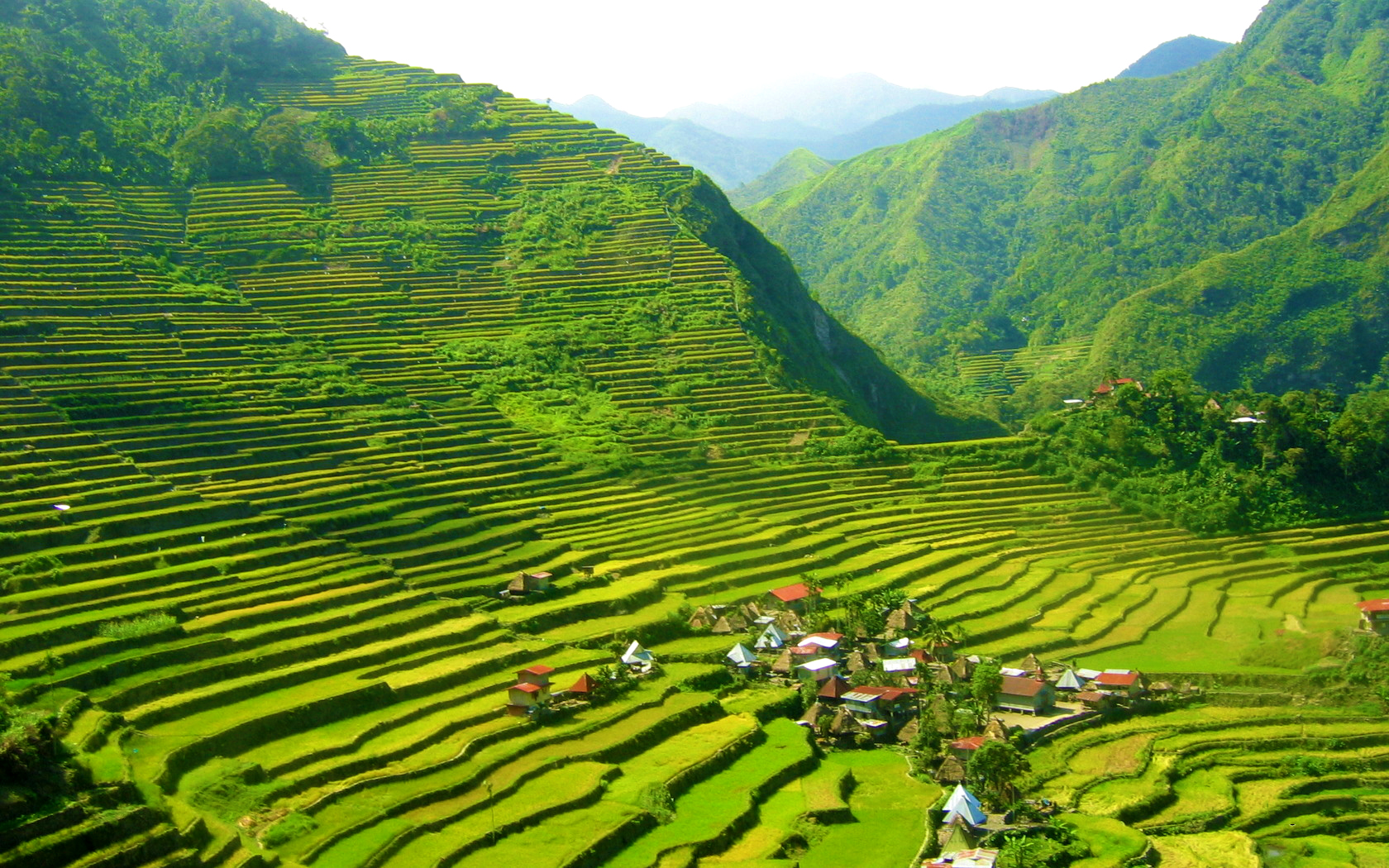 Ruộng bậc thang vùng cao đã từng đi vào thi ca, nhạc họa của nhiều nghệ sỹ Việt Nam và quốc tế