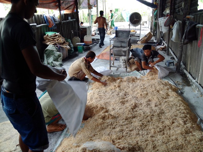 B&ecirc;n trong cơ sở l&agrave;m ruốc bẩn của &ocirc;ng Thương, ruốc bẩn chất đống tr&ecirc;n nền đất đầy ruồi nhằng, bốc m&ugrave;i h&ocirc;i thối