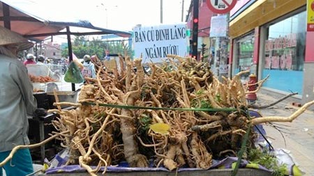 R&ecirc;̃ c&acirc;y ng&acirc;m rượu bán nhan nhản nhưng khó ph&acirc;n bi&ecirc;̣t th&acirc;̣t giả