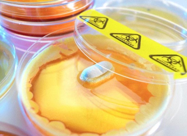 Si&ecirc;u kh&aacute;ng sinh teixobactin c&oacute; thể sẽ l&agrave; &lsquo;thuốc chữa b&aacute;ch bệnh&rsquo; trong tương lai
