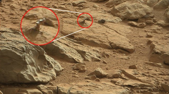 Sinh vật lạ c&oacute; h&igrave;nh d&aacute;ng giống thằn lằn trong h&igrave;nh ảnh do robot Curiosity gửi về