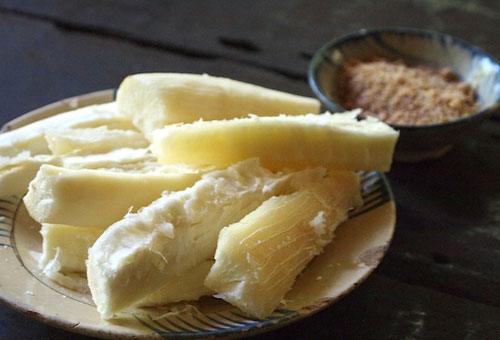 Sơ cứu ngộ độc sắn d&acirc;y