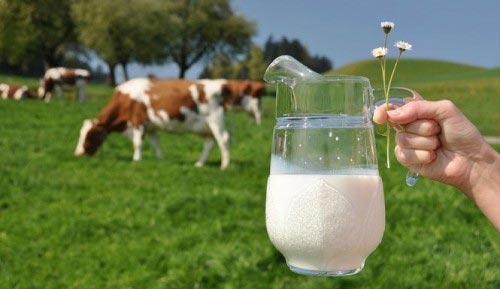 An to&agrave;n 13Win OKVIP Cá cược bóng đá l&agrave; chủ đề được rất nhiều người quan t&acirc;m