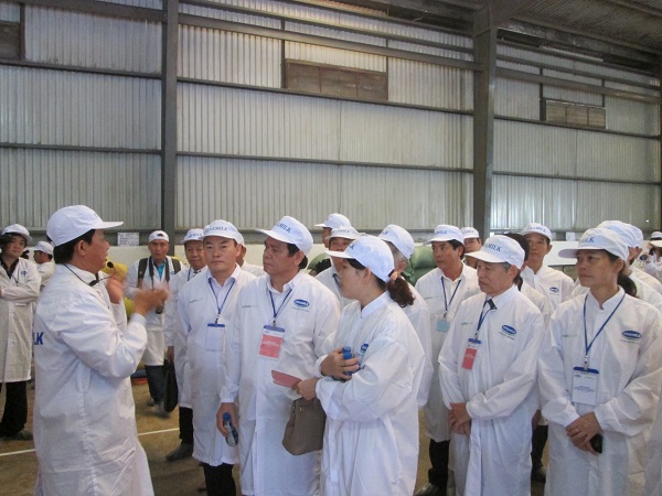 Trang trại chăn nu&ocirc;i b&ograve; sữa (CNBS) của Vinamilk 
