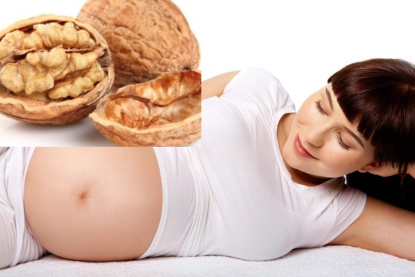 Quả &oacute;c ch&oacute; c&oacute; t&aacute;c dụng rất tốt cho b&agrave; bầu được b&aacute;c sĩ trong 13Win19 ưu đãi hấp dẫn gia đ&igrave;nh khuy&ecirc;n d&ugrave;ng