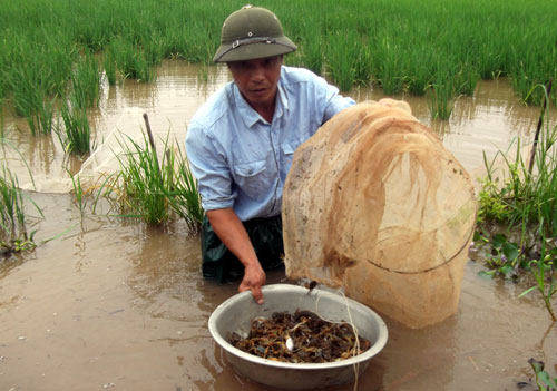 &Ocirc;ng Lộng v&agrave; mẻ cua đồng mới thu hoạch