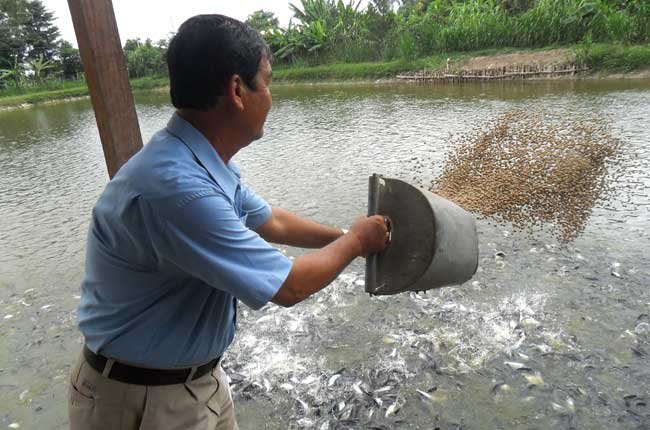 Nh&oacute;m kho&aacute;ng chất đa lượng duy tr&igrave; ổn định pH trong cơ thể động vật thủy sản.