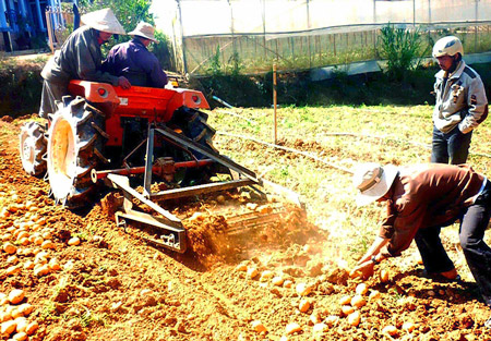 Một m&aacute;y đ&agrave;o khoai t&acirc;y bằng 20 - 30 c&ocirc;ng 13Win18 cá cược thể thao