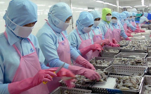 Năng suất 13Win18 cá cược thể thao ng&agrave;nh n&ocirc;ng l&acirc;m thủy sản đạt 31 triệu đồng/năm