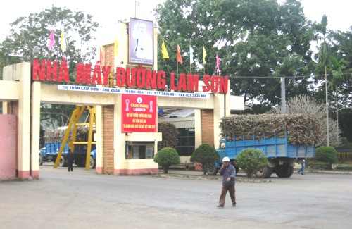 Đường Lam Sơn hướng tới c&ocirc;ng nghệ cao