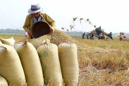 người n&ocirc;ng d&acirc;n tăng năng suất, giảm chi ph&iacute; trong sản xuất l&uacute;a