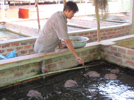 b&agrave; con n&ocirc;ng d&acirc;n cần &aacute;p dụng c&aacute;c giải ph&aacute;p ph&ograve;ng bệnh ngay từ khi thả giống.