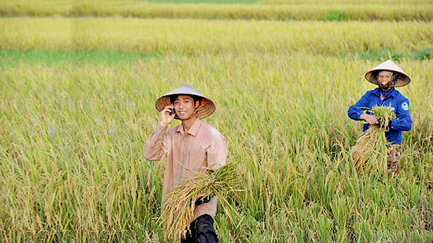 Với ứng dụng Agri.ONE, người n&ocirc;ng d&acirc;n c&oacute; thể khai th&aacute;c th&ocirc;ng tin n&ocirc;ng nghiệp &ldquo;từ A đến Z&rdquo;