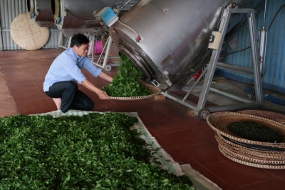 Cải thiện năng suất chất lượng c&acirc;y ch&egrave; bằng c&aacute;ch trang bị thiết bị cho người d&acirc;n