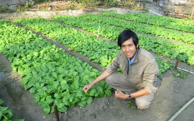L&ecirc; Minh Vương t&igrave;m hiểu kỹ thuật b&ecirc;n vườn rau sạch tại Củ Chi