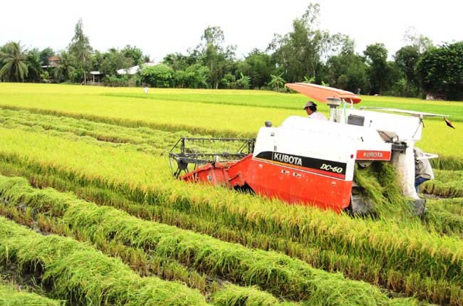 Ưu ti&ecirc;n đầu tư vốn v&agrave;o n&ocirc;ng nghiệp