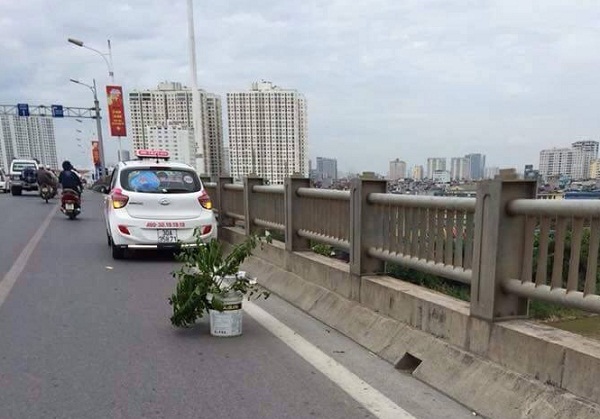 CSGT g&agrave;i bẫy người vi phạm giao th&ocirc;ng