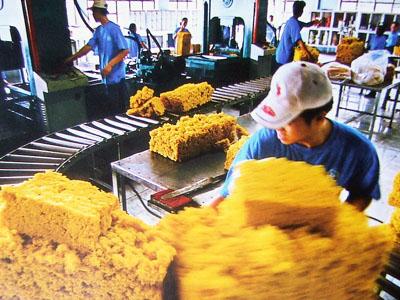 Cao su l&agrave; mặt h&agrave;ng chủ lực của tỉnh T&acirc;y Ninh. Ảnh minh họa