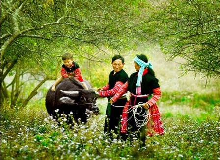 Đừng ngần ngại chọn Mai Ch&acirc;u nếu c&ograve;n băn khoăn &lsquo;Tết dương lịch 2015 n&ecirc;n đi chơi ở đ&acirc;u&rsquo;