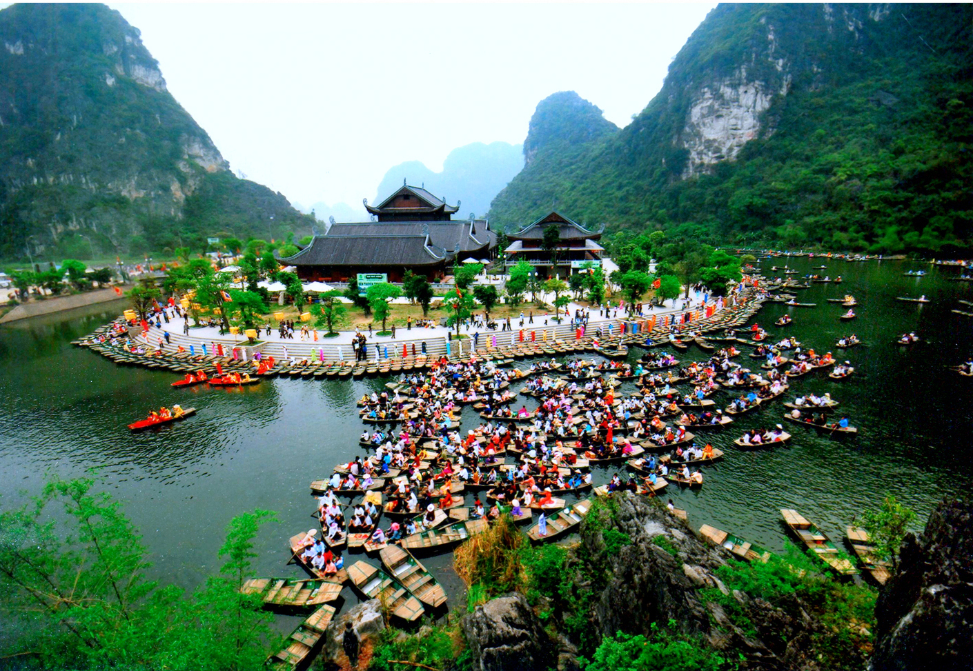 quần thể tr&agrave;ng an