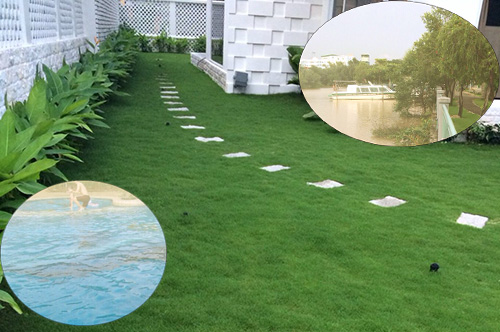  Căn biệt thự hoàng tráng, diện tích 300 m2, mang phong cách Châu Âu tại quận 7 -TP.HCM.