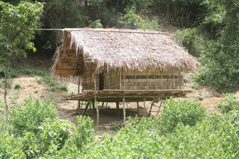 L&aacute;n của anh Lo Văn Thọ, nơi xảy ra vụ thảm s&aacute;t 4 người ở Nghệ An