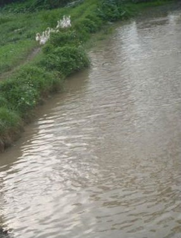 B&eacute; trai 3 tuổi bị đuối nước thương t&acirc;m dưới mương nước