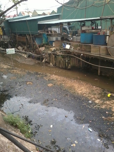 Chợ c&aacute;