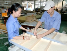 Bột gỗ