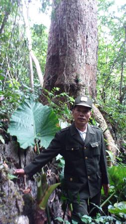 Kiểm l&acirc;m
