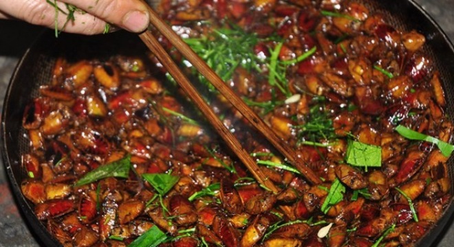 Sâu Ban Miêu:  Gần đây nhất,  ngày 21.8.2016 là vụ ngộ độc do ăn côn trùng tại xã Nậm Khánh, huyện Bắc Hà, tỉnh Lào Cai làm 2 người mắc và 1 người tử vong.