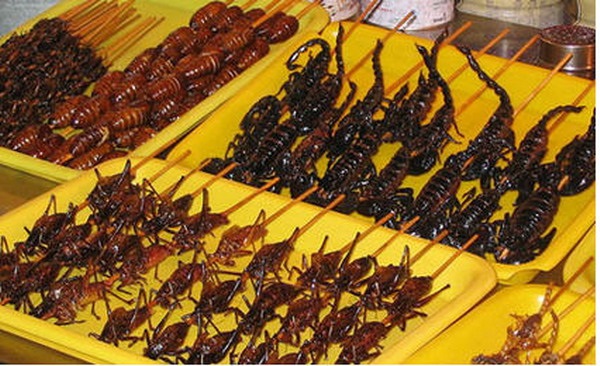 KHÔNG ĂN CÔN TRÙNG CHẾT:  Theo một số chuyên gia cho biết, khi côn trùng chết đều tiết ra những chất cho thể gây độc. Vì vậy, việc ăn côn trùng chết sẽ tiềm ẩn nguy cơ nhiễm độc rất cao. Nên chọn côn trùng phổ biến và còn tươi sống để chế biến 13Win1 nhập link nhà cái. Tuy nhiên, đối với một số người dễ bị dị ứng cũng nên thận trọng với những món “đặc sản côn trùng” này.