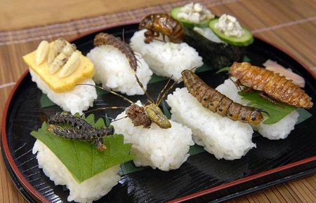 SƠ CHẾ ĐÚNG CÁCH: Sơ chế, chế biến an toàn. Để có một món ăn ngon, an toàn từ côn trùng chúng ta phải để chúng thải hết chất độc trong người bằng cách ngâm vào nước muối ấm, nước vôi. Đồng thời loại bỏ ruột, cánh, chân, vời, đầu. Sau khi rứa sạch với nước thì chúng ta có thể chế biến thành những món ăn yêu thích. Thế nhưng tuyệt đối không được ăn sống, tái hay không nầu chín mà không qua sơ chế.