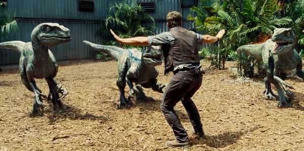 Chris Pratt đang huấn luyện cho những con Velociraptor trong Thế giới kỷ Jura Chris Pratt đang huấn luyện cho những con Velociraptor trong Thế giới kỷ Jura