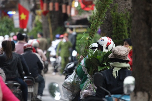 Thị trường hoa Tết 2016: D&acirc;n H&agrave; Th&agrave;nh &lsquo;chen ch&uacute;c&rsquo; đi mua hoa