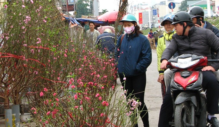 Thị trường hoa Tết 2016: Ly bất ngờ &lsquo;b&ugrave;ng gi&aacute;&rsquo;