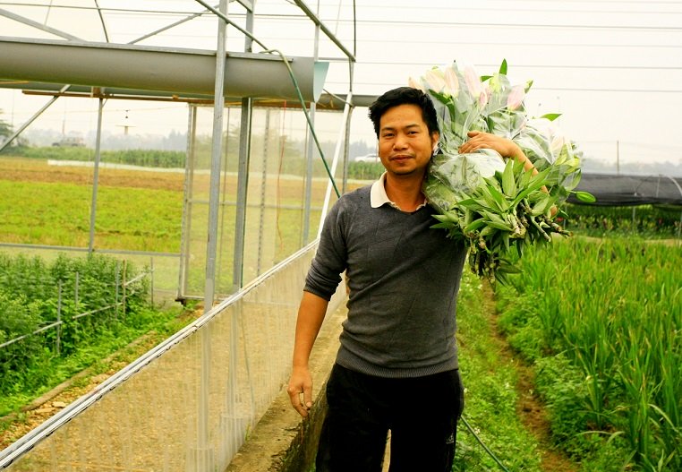 Thị trường hoa Tết 2016: Ly bất ngờ &lsquo;b&ugrave;ng gi&aacute;&rsquo;