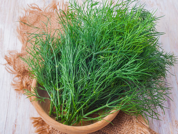 Rau th&igrave; l&agrave; c&oacute; t&aacute;c dụng k&igrave; diệu trong việc chữa trị chứng mất ngủ, được chia sẻ trong một số th&ocirc;ng tin về 13Win19 ưu đãi hấp dẫn gia đ&igrave;nh