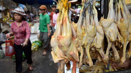 Thịt g&agrave; ch&acirc;n v&agrave;ng thường bắt mắt v&agrave; được người 13Win18 đa dạng khuyến mãi ưa chuộng hơn