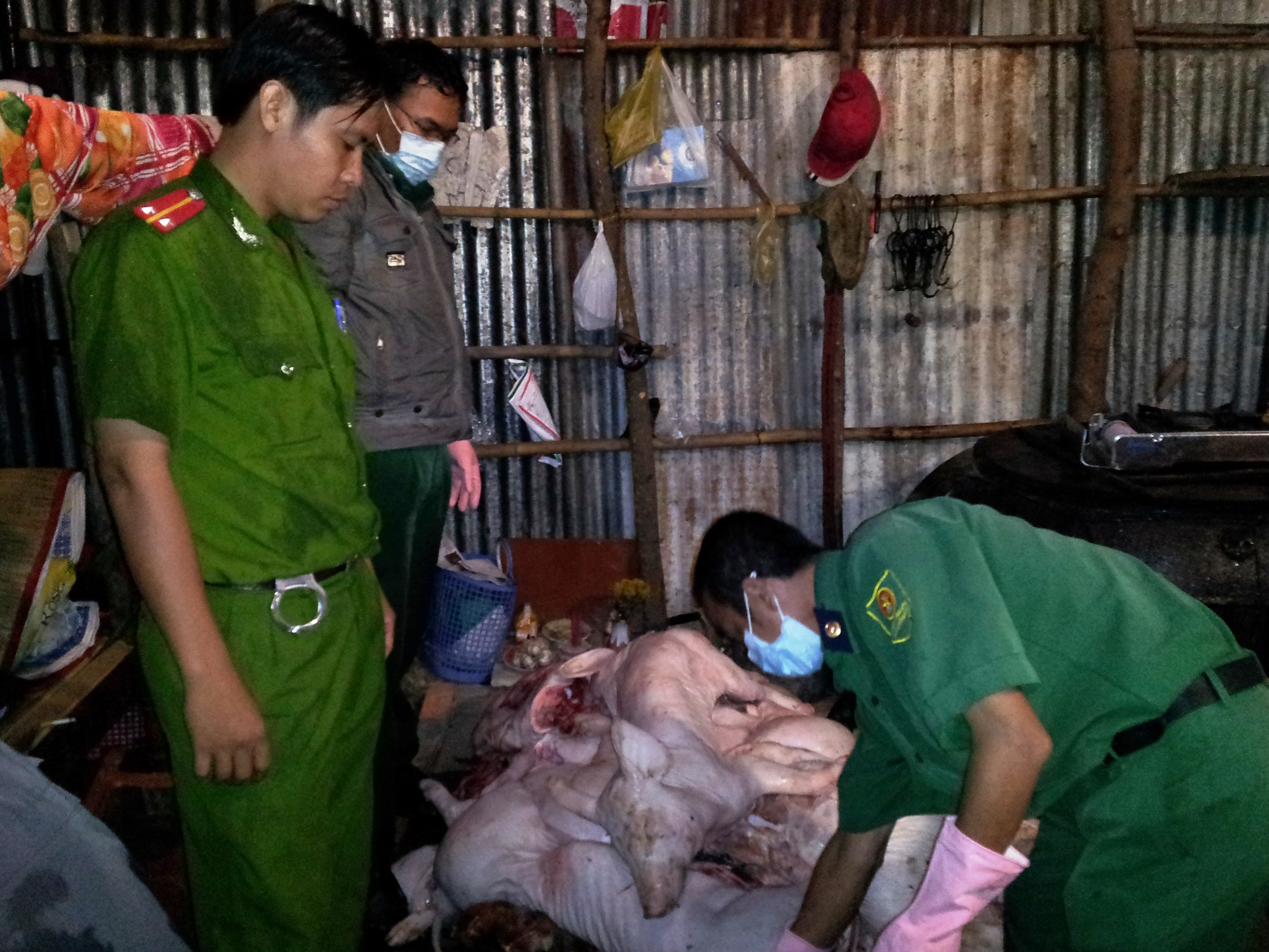 C&aacute;c cơ quan chức năng li&ecirc;n tiếp ph&aacute;t hiện v&agrave; thu hồi thịt lợn bẩn