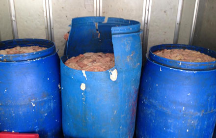 Ph&aacute;t hiện 470kg l&ograve;ng lợn thối đang tr&ecirc;n đường vận chuyển từ H&agrave; Nội l&ecirc;n Bắc Giang