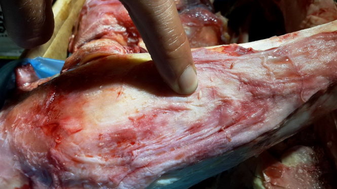 Gi&ograve;i b&ograve; l&uacute;c nh&uacute;c trong l&ocirc; thịt v&agrave; xương tr&acirc;u Ấn Độ