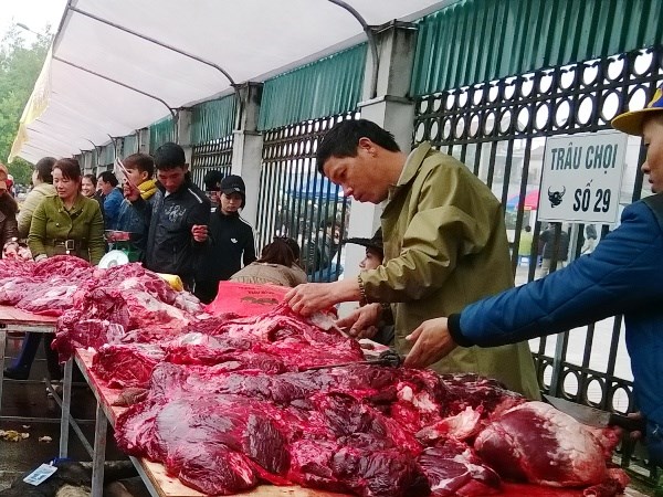 Lễ hội chọi tr&acirc;u Ph&uacute;c Thọ: Bắt nhiều người b&aacute;n thịt tr&acirc;u chọi rởm