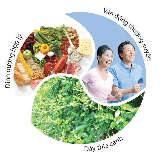 Cần c&oacute; chế độ ăn uống, sinh hoạt hợp l&yacute; để tr&aacute;nh gặp phải bệnh tiểu đường n&oacute;i ri&ecirc;ng cũng như c&aacute;c bệnh thường gặp dịp Tết n&oacute;i chung